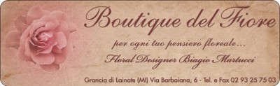 boutique(1)